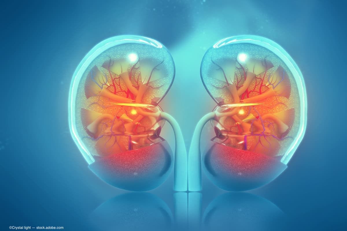 OCT retinal scans show the eye-kidney connection