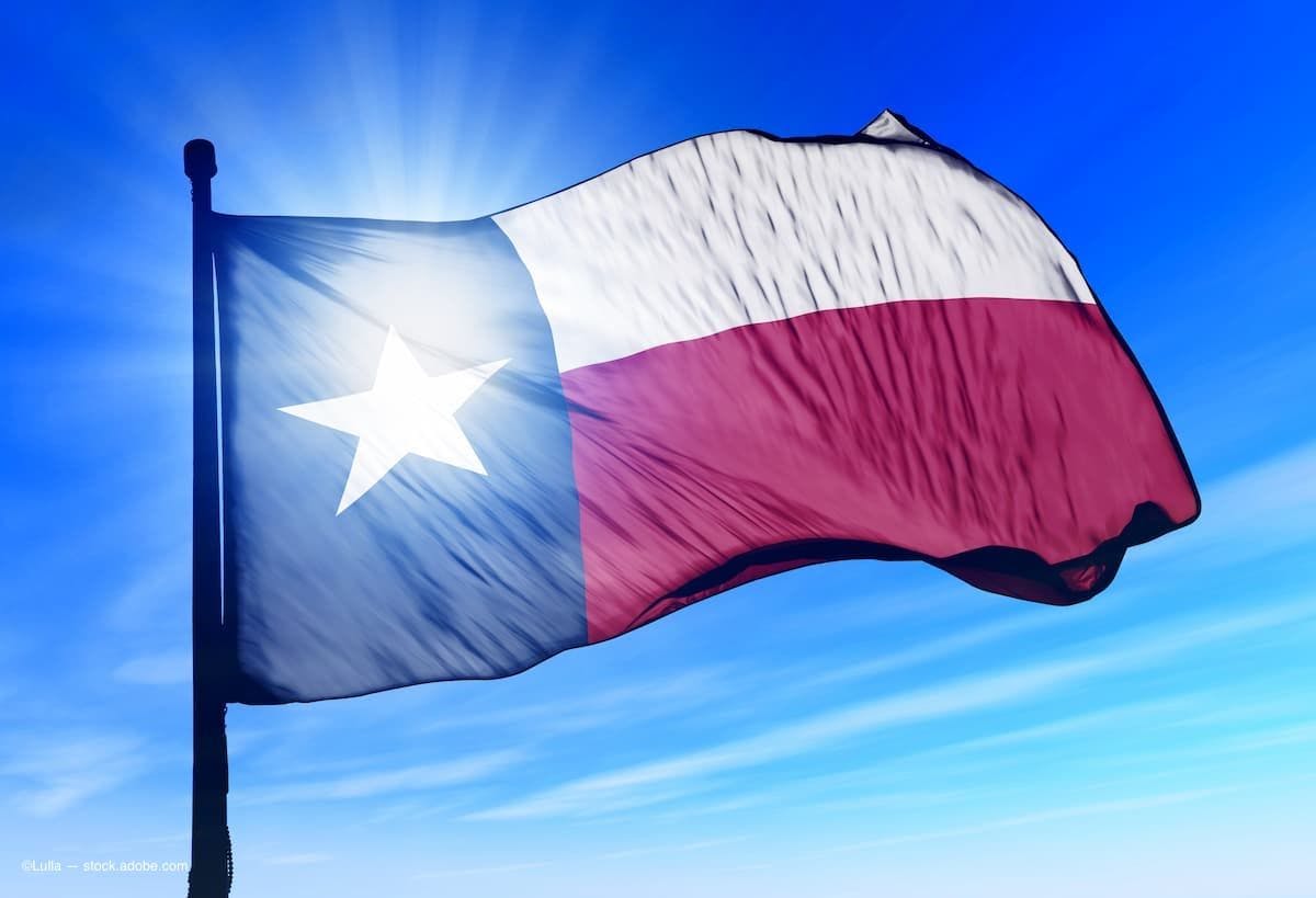 The texas state flag. (Image Credit: AdobeStock/Lulla)