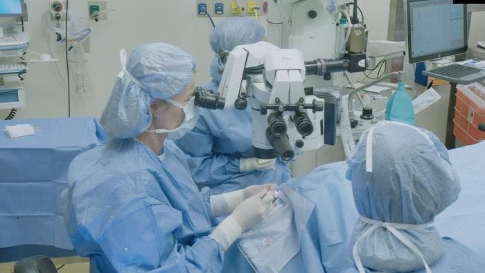 Ula Jurkunas, MD, performs the first CALEC transplant in the United States as part of a clinical trial at Mass Eye and Ear in April 2018. (Image courtesy of Mass Eye and Ear)