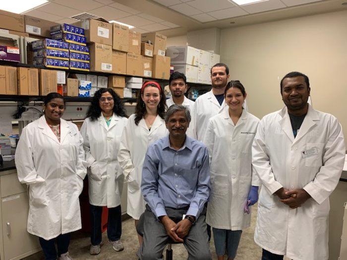 A team led by Hironmoy Das, Ph.D., from the TTUHSC Jerry H. Hodge School of Pharmacy recently completed a clinical trial using corneal epithelial stem cells to improve outcomes for DED patients. (Image courtesy of the Texas Tech University Health Sciences Center)