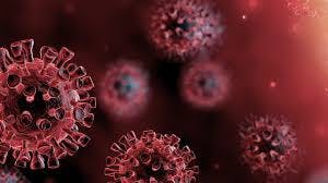 Physiologic effects of the SARS-CoV-2 virus