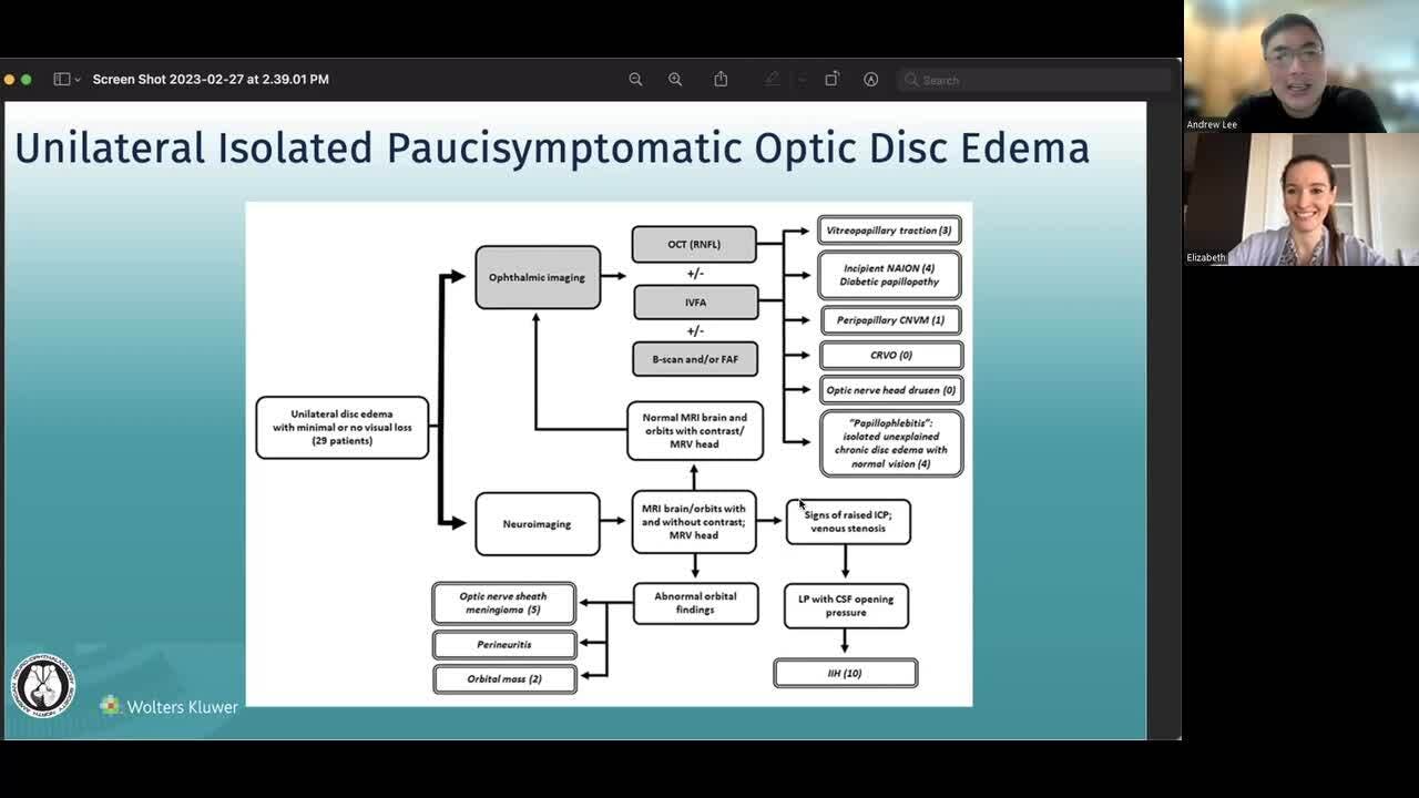 VLOG: Unilateral isolated paucisymptomatic optic disc edema - what is that?