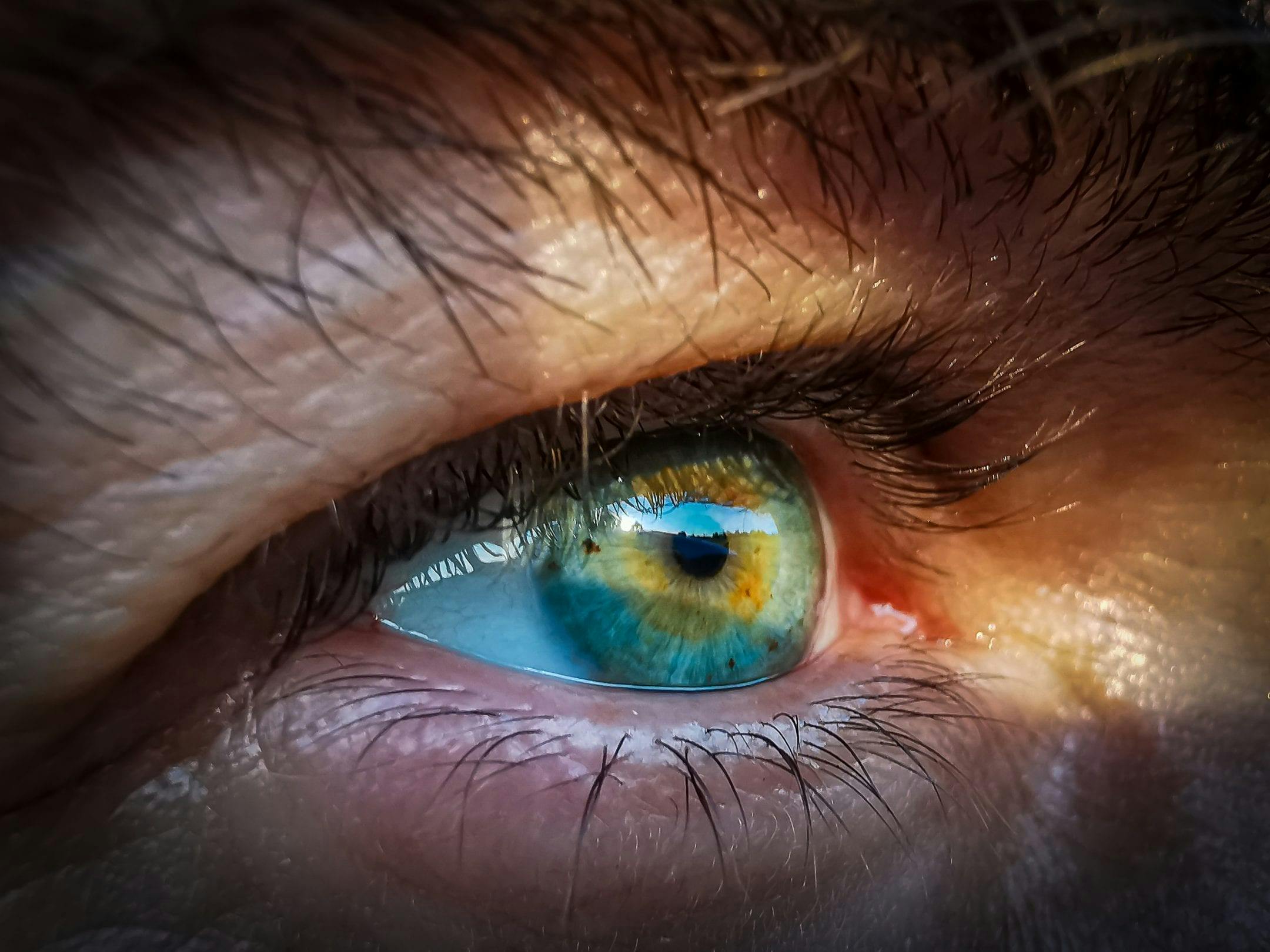 Novel gene therapy platform speeds search for ways to cure blindness