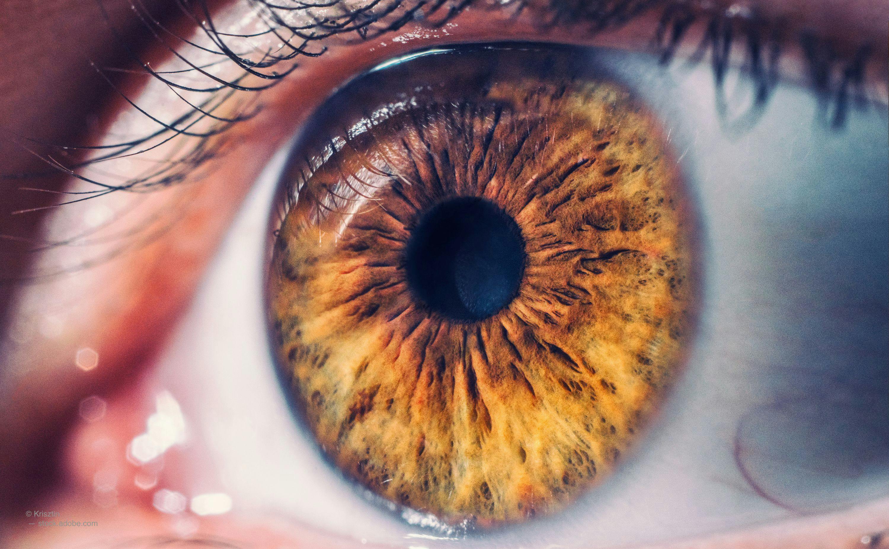 Evolution of optical coherence tomography of the human eye