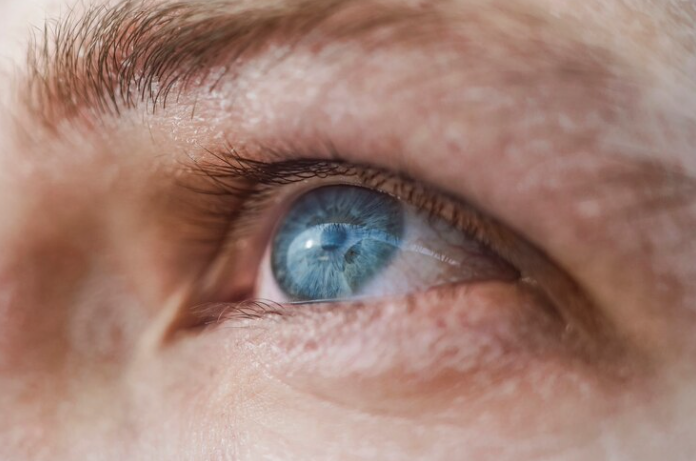 Inflammatory bowel disease does not have ocular manifestations