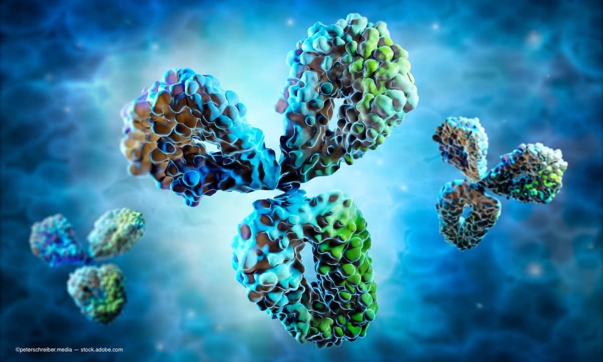 a 3d image of an antibody (Image Credit: AdobeStock/peterschreiber.media)