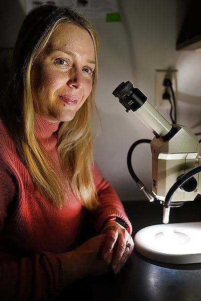 Vikki Weake, associate professor of biochemistry in Purdue University’s College of Agriculture, sits for a portrait in a lab with a microscope.