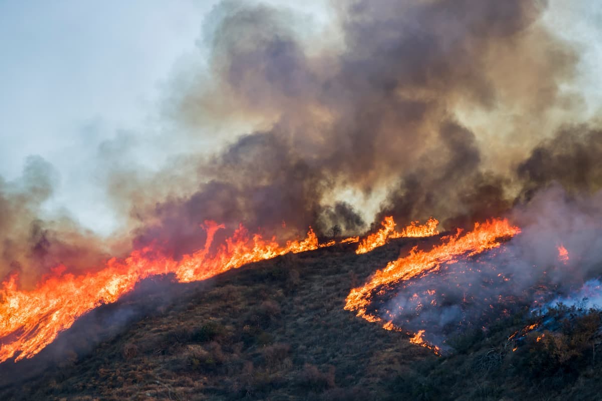 A wildfire burning out of control. (Image Credit: AdobeStock/Erin)