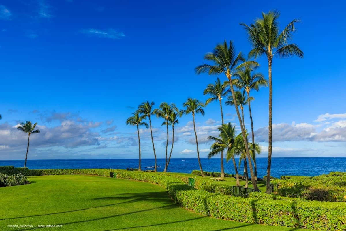 Hawaiian Eye: Focus on the retina program 2024 in the tropics