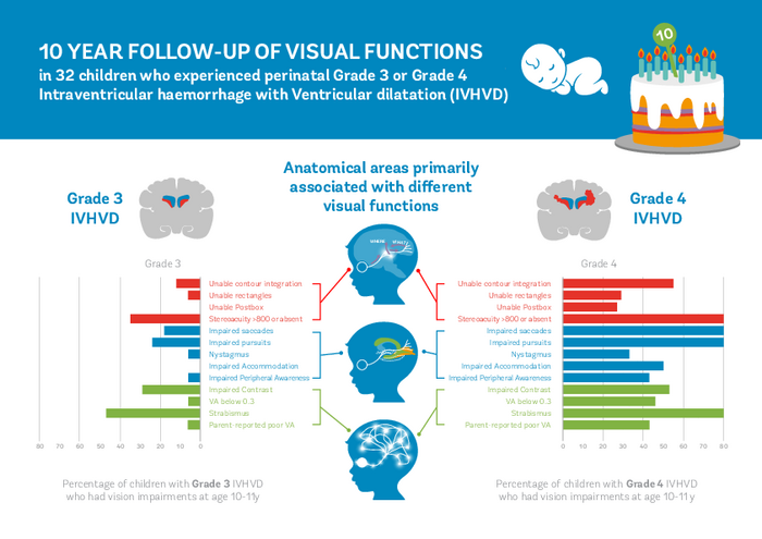 Graphic showing the ten-year follow up of visual functions in 32 children who in the first year following their birth experienced Grade 3 or Grade 4 Intraventricular hemorrhage with Ventricular dilatation (IVHVD). (Image courtesy of University of Bristol)