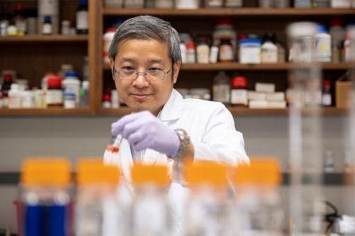 Drug delivery researcher Kevin Li is a professor and pharmaceutical scientist at the University of Cincinnati's James L. Winkle College of Pharmacy. (Image courtesy of University of Cincinnati)