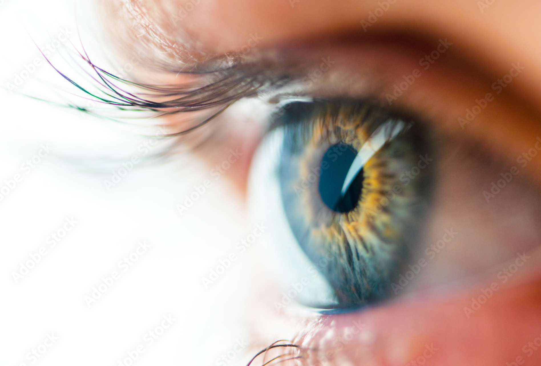Diabetes is the leading cause of new blindness among adults from 18 to 64. 