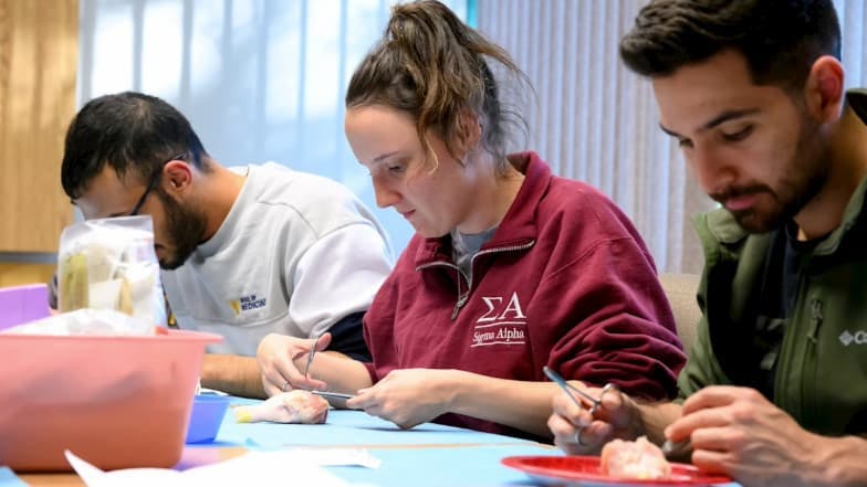 During a suture training workshop hosted by the West Virginia University Department of Ophthalmology and Visual Sciences, students were given a needle and thread, which they practiced suturing on pieces of raw chicken. (Image courtesy of West Virginia University)