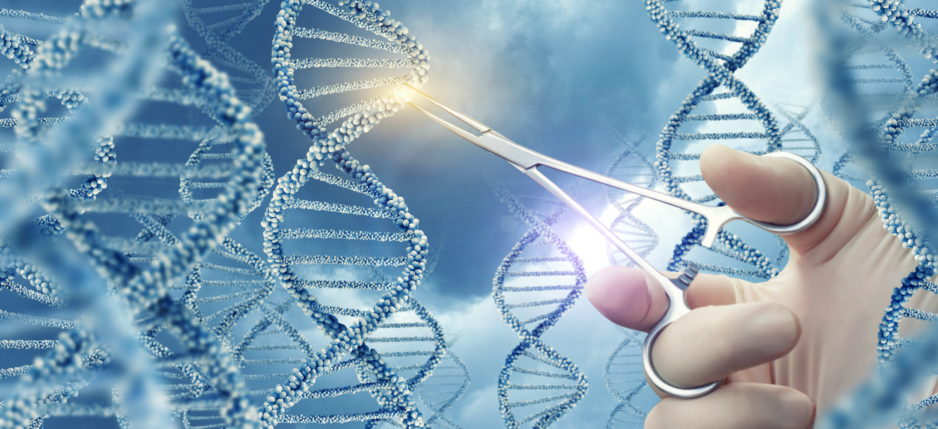 Combining gene therapy and medical device makes progress in RP