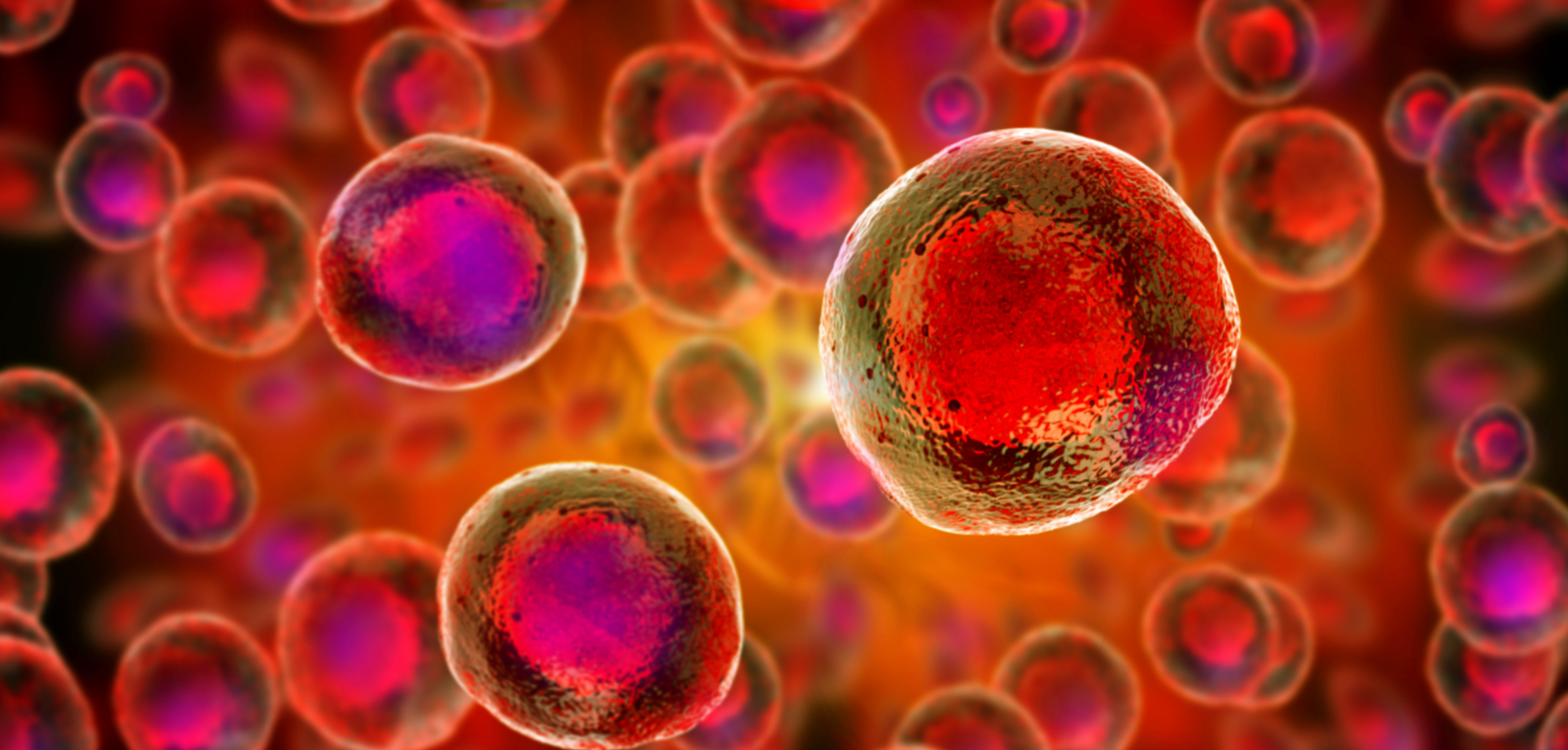 Misinformation rampant about unapproved stem cell therapies