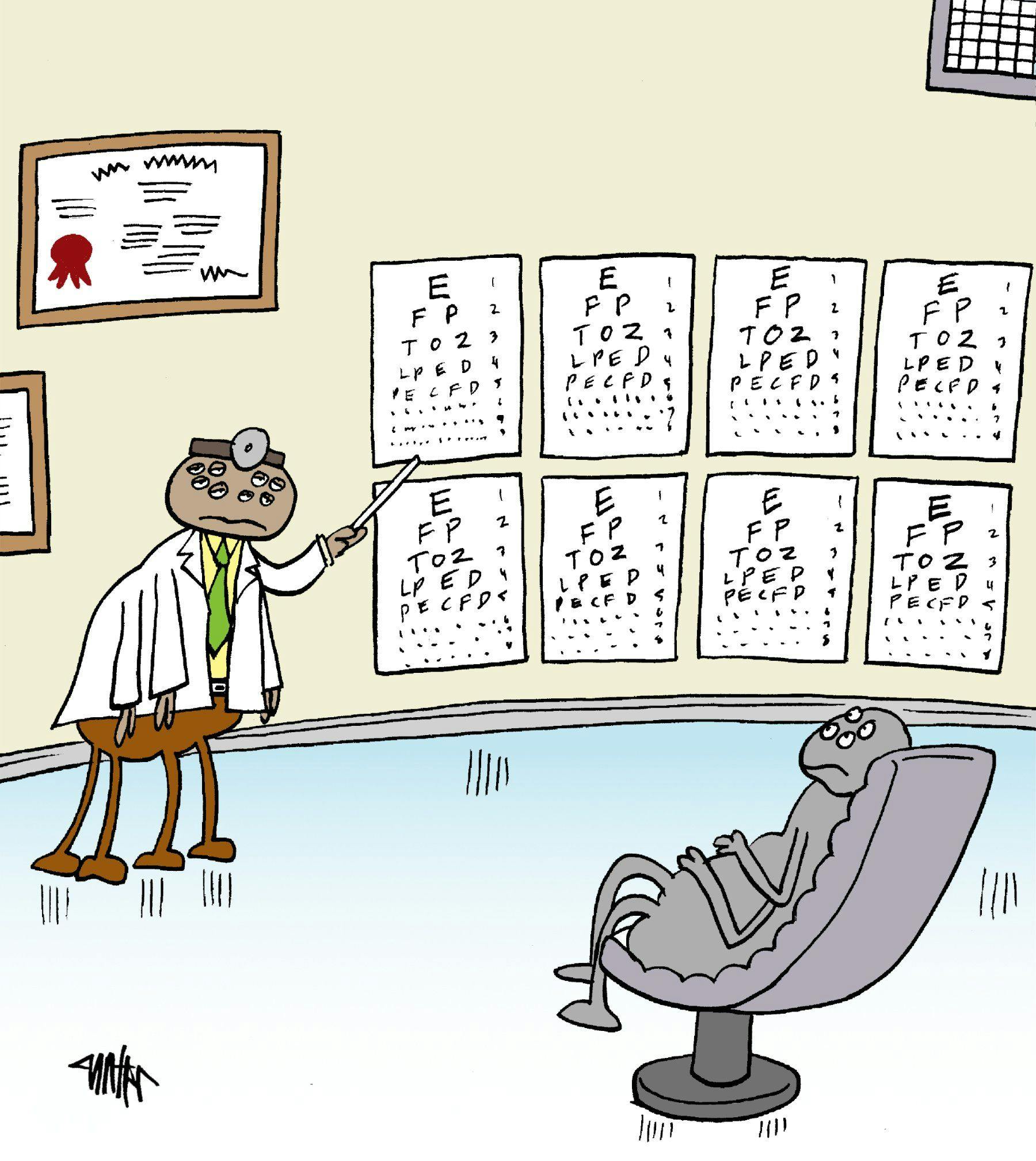 Struggles of the yearly spider-eye exam
