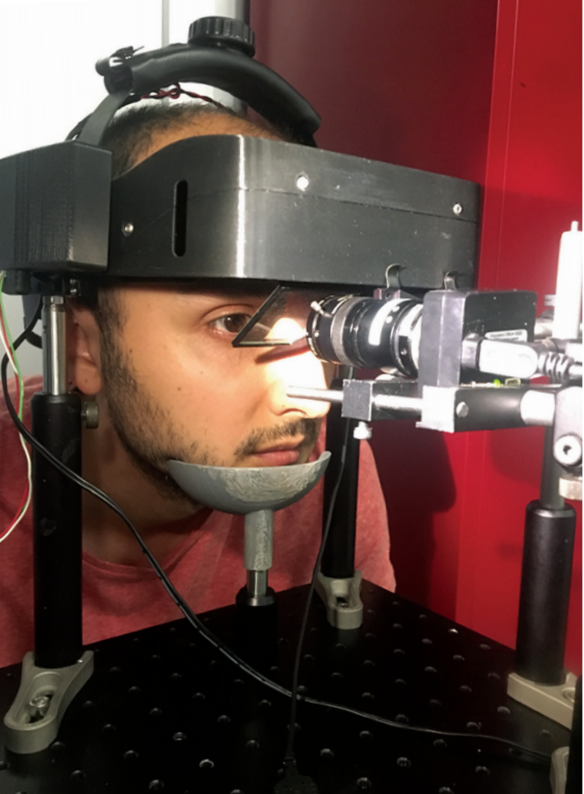 The holographic vision simulator device can be used for matching the right patient to the right choice of intraocular lens. 