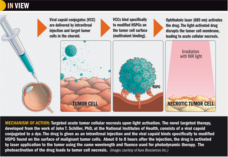 (Figure 1) Targeted acute tumor cellular necrosis upon light activation.